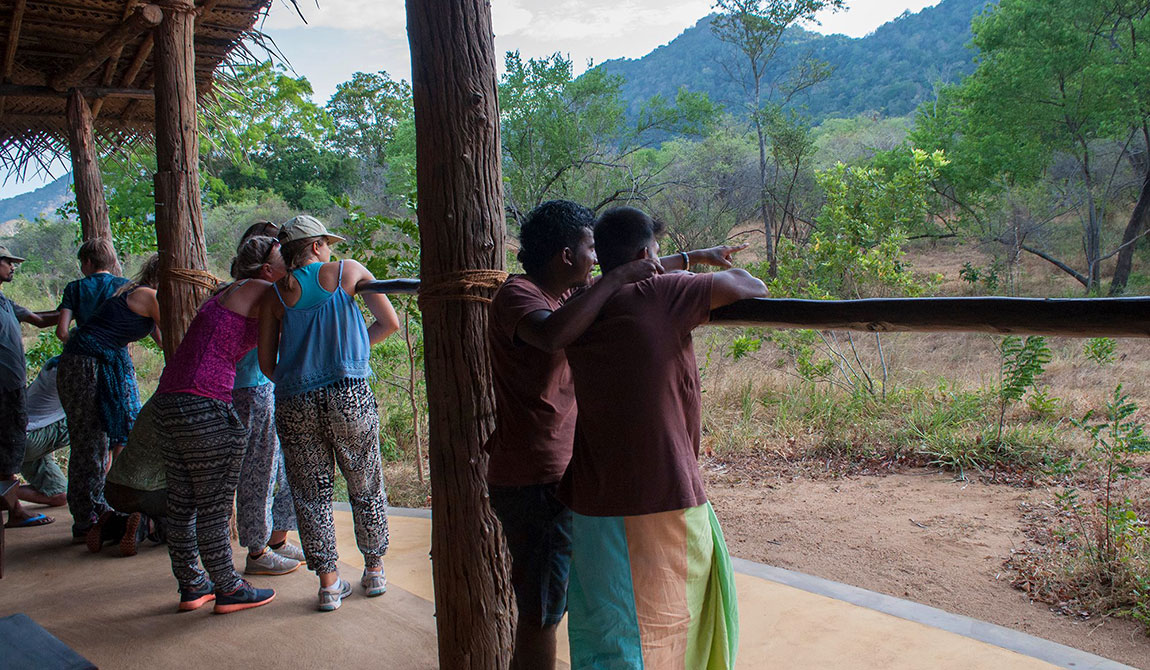 Sri Lanka Trip Planning - Sri Lanka Itinerary Planning - Tailor made tours to Sri Lanka
