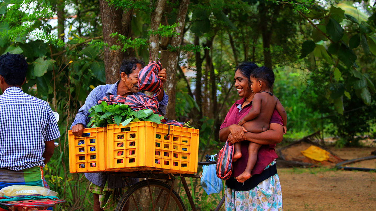 Sri Lanka tours from netherland, Sri Lanka Tours, Tours to Sri Lanka, Tailor made tours in Sri Lanka, Adventure Tours in Sri Lanka, Sri Lanka Adventures, Family Tours in Sri Lanka, Sri Lanka Family Holidays, Adventure Family Tours in Sri Lanka, Tailor made family Tours in Sri Lanka