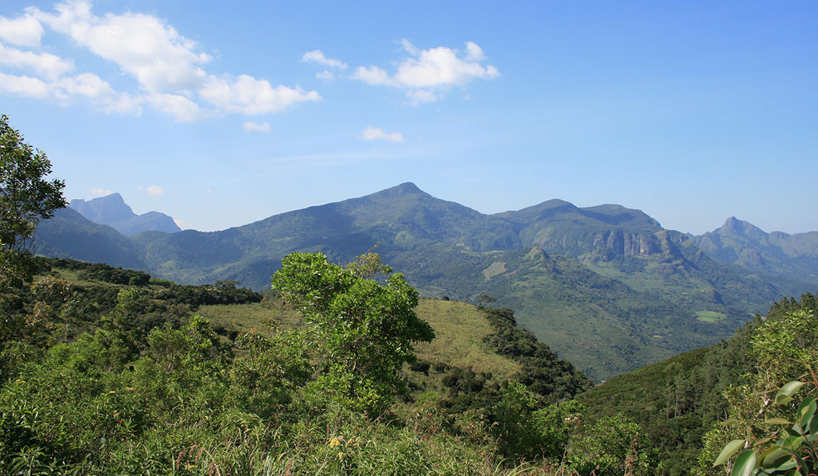 Tour Opeators in Sri Lanka - Travel Agents in Sri Lanka - Best Tour Operators in Sri Lanka