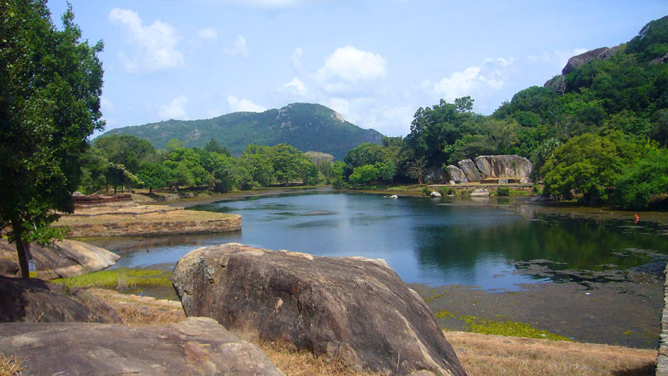 Kaludiya Pokuna Forest Travel Guide - Kalu Diya Pokuna Natural Black Water Pond - Visit Kaludiya Pokuna on your trip to Dambulla - Dambulla Kaludiya Pokuna - Kaludiya Pokuna Forest Sri Lanka - Birding at Kaludiya Pokuna - Kaludiya Pokuna Forest - Pond, State Park