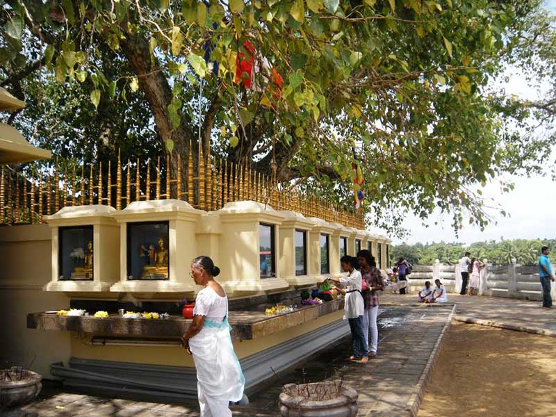 Kalutara Bodhiya - Sri Lanka - Visit Kalutara Bodhiya on your trip to Kalutara - Kalutara Bodhiya Budhist Temple - Kalutara Temple