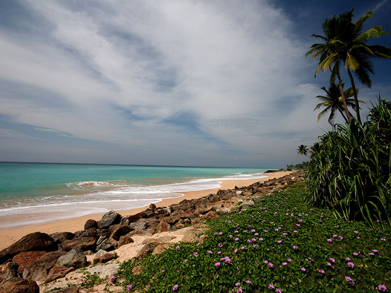 Beach Destinations in Sri Lanka - Sri Lanka Beach Destinations - Sri Lanka Beaches - Beach Hotels in Hikkaduwa - Hikkaduwa Beach Hotels - Hikkaduwa Beach in Sri Lanka - Things to do in Hikkaduwa - Hikkaduwa Beach Stay