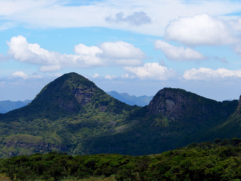 Knuckles Mountain Range trips in Sri Lanka - Knuckles Trekking Trips in Sri Lanka - Knuckles Mountain Range in Sri Lanka - Knuckles Tours in Sri Lanka - Sri Lanka Trekking Trips