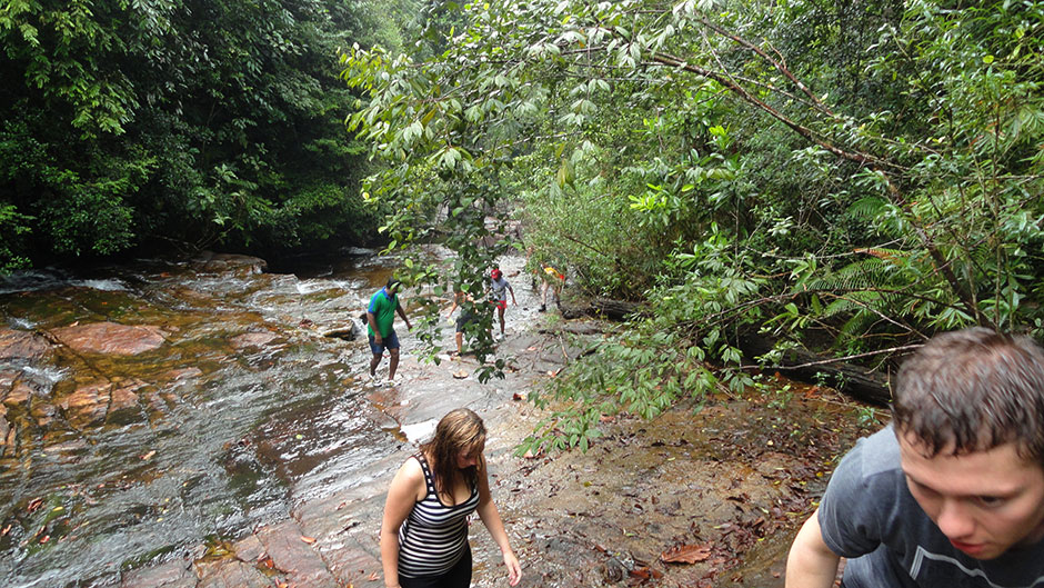 Trekking Trips in Kitulgala, Rain Forest Reserve in Sri Lanka, Rain Forest trekking in Kitulgala - Rain Forest Trekking Tours in Sri Lanka - Rain Forest Trekking Tours - Makandawa Rain Forest in Kitulgala, Kitulgala Trekking Trips - Rain Forest Trek in Kitulgala - Kitulgala Trekking