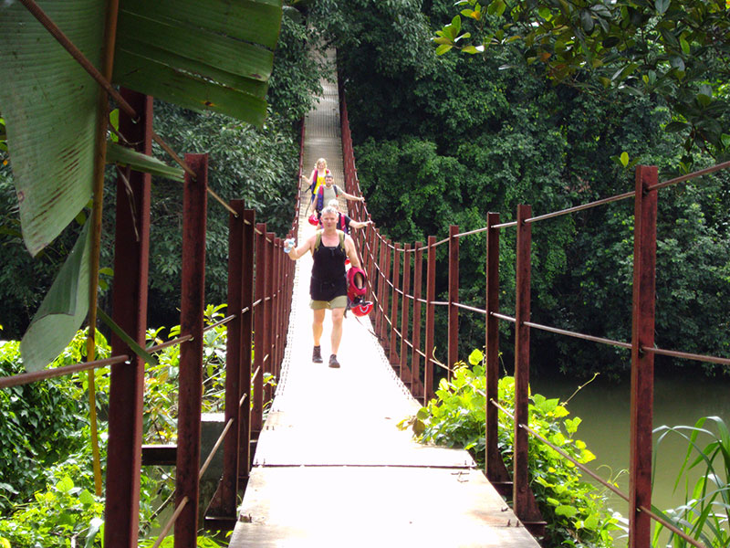 Trekking Trips in Kitulgala, Rain Forest Reserve in Sri Lanka, Rain Forest trekking in Kitulgala - Rain Forest Trekking Tours in Sri Lanka - Rain Forest Trekking Tours - Makandawa Rain Forest in Kitulgala, Kitulgala Trekking Trips - Rain Forest Trek in Kitulgala - Kitulgala Trekking