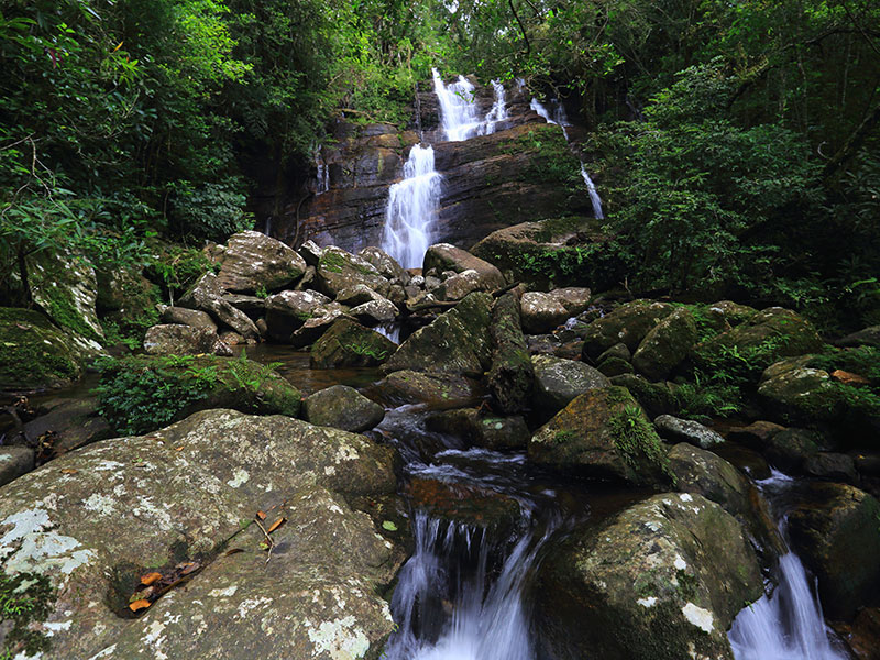 Sinharaja Rain Forest trips - Sinharaja Rain Forest trekking tours - Sinharaja Rain Forest Exploration Tours and trips - Sinharaja Rain Forest exploration tours - Sinharaja Rain Forest - Trekking in sinharaja - Rain forest in Sri Lanka