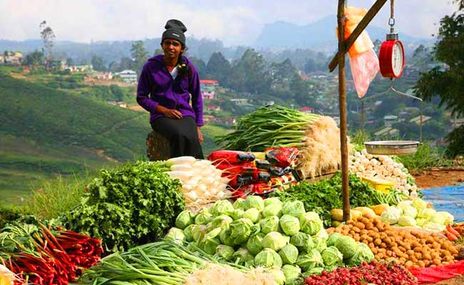 Family Friendly Holidays, Family Trip in Sri lanka, Budget trips in Sri Lanka, family vacations in sri lanka, Sri Lanka family tours, sri lanka holidays for family, Family Holidays, Trips for family, Kids Tours, Family Tours in Sri Lanka, Kids friendly Tours in Sri Lanka