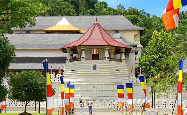 Family Friendly Holidays, Family Trip in Sri lanka, Budget trips in Sri Lanka, family vacations in sri lanka, Sri Lanka family tours, sri lanka holidays for family, Family Holidays, Trips for family, Kids Tours, Family Tours in Sri Lanka, Kids friendly Tours in Sri Lanka