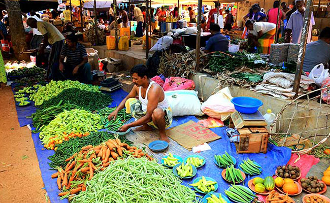 Family Friendly Holidays, Family Trip in Sri lanka, Budget trips in Sri Lanka, family vacations in sri lanka, Sri Lanka family tours, sri lanka holidays for family, Family Holidays, Trips for family, Kids Tours, Family Tours in Sri Lanka, Kids friendly Tours in Sri Lanka