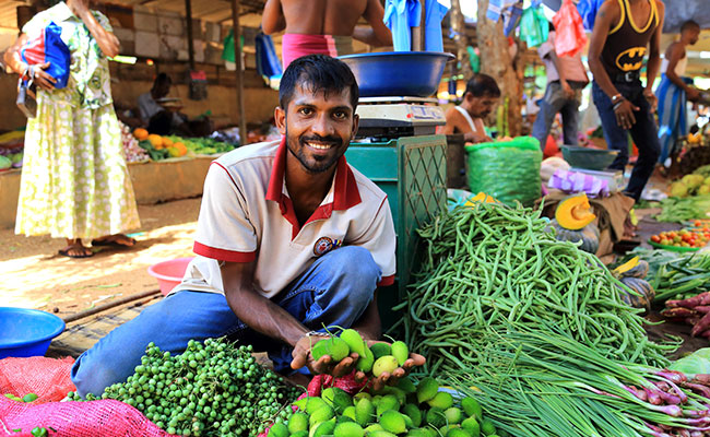 Family Friendly Holidays, Family Trip in Sri lanka, Budget trips in Sri Lanka, family vacations in sri lanka, Sri Lanka family tours, sri lanka holidays for family, Family Holidays, Trips for family, Kids Tours, Family Tours in Sri Lanka, Kids friendly Tours in Sri Lanka