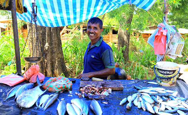 Family Friendly Holidays, Family Trip in Sri lanka, Budget trips in Sri Lanka, family vacations in sri lanka, Sri Lanka family tours, sri lanka holidays for family, Family Holidays, Trips for family, Kids Tours, Family Tours in Sri Lanka, Kids friendly Tours in Sri Lanka