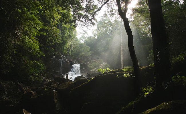 Family Friendly Holidays, Family Trip in Sri lanka, Budget trips in Sri Lanka, family vacations in sri lanka, Sri Lanka family tours, sri lanka holidays for family, Family Holidays, Trips for family, Kids Tours, Family Tours in Sri Lanka, Kids friendly Tours in Sri Lanka