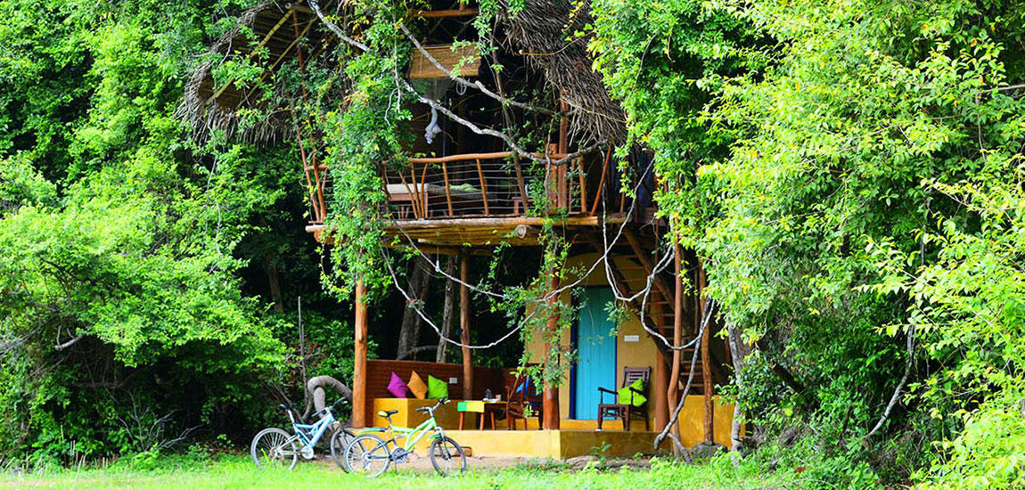 Family Friendly Holidays, Family Trip in Sri lanka, Budget trips in Sri Lanka, family vacations in sri lanka, Sri Lanka family tours, sri lanka holidays for family, Family Holidays, Trips for family, Kids Tours, Family Tours in Sri Lanka, Kids friendly Tours in Sri Lanka